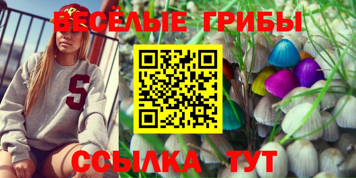 Кемерово  купить закладку  Вход с VPN  Псилоцибиновые грибы мухоморы 