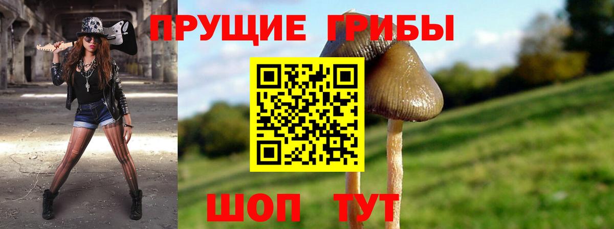 Галлюциногенные грибы GOLDEN TEACHER Кемерово